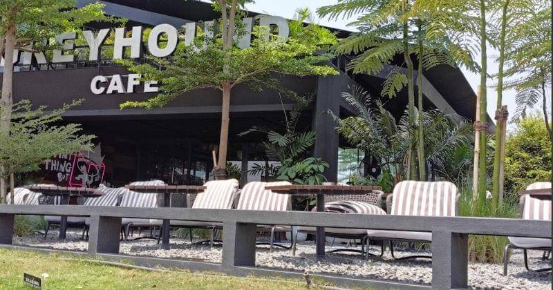 Google Images/Sadayuki Matsuoka